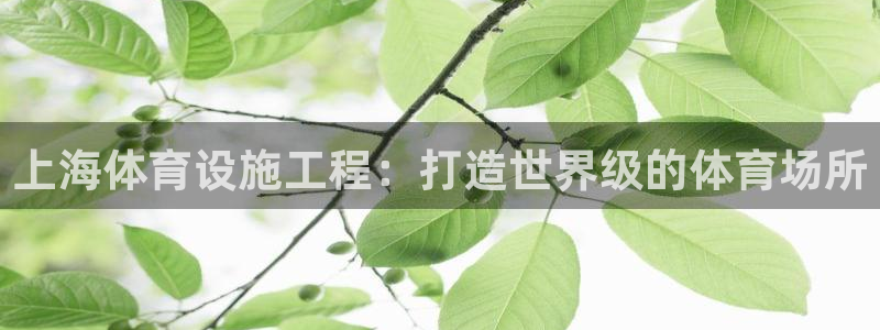 尊龙网站登录