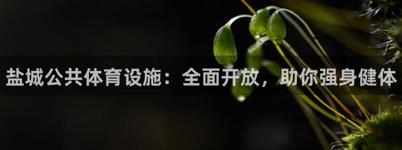 凯时游戏官方网站